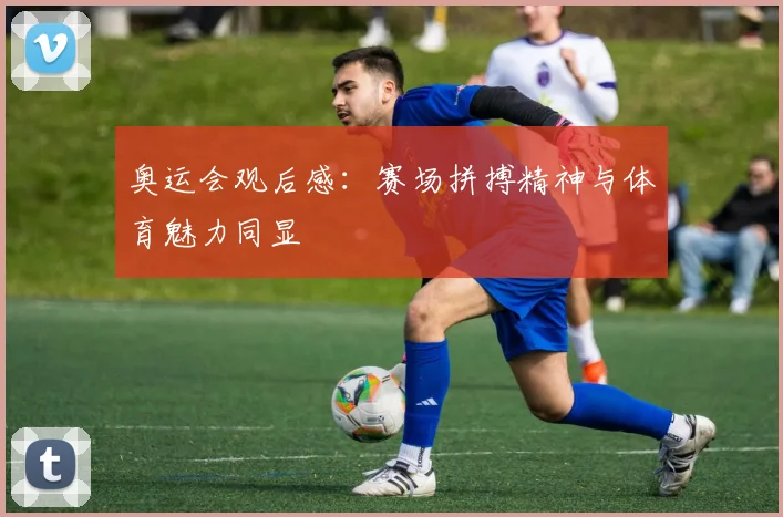 奥运会观后感：赛场拼搏精神与体育魅力同显