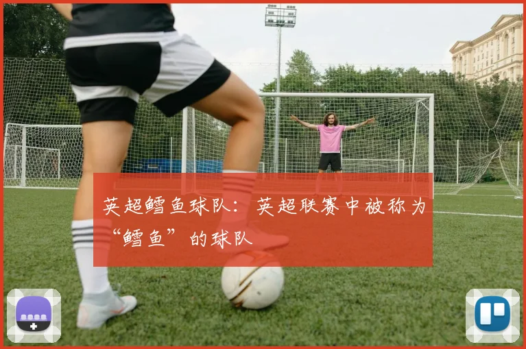 英超鳕鱼球队：英超联赛中被称为“鳕鱼”的球队